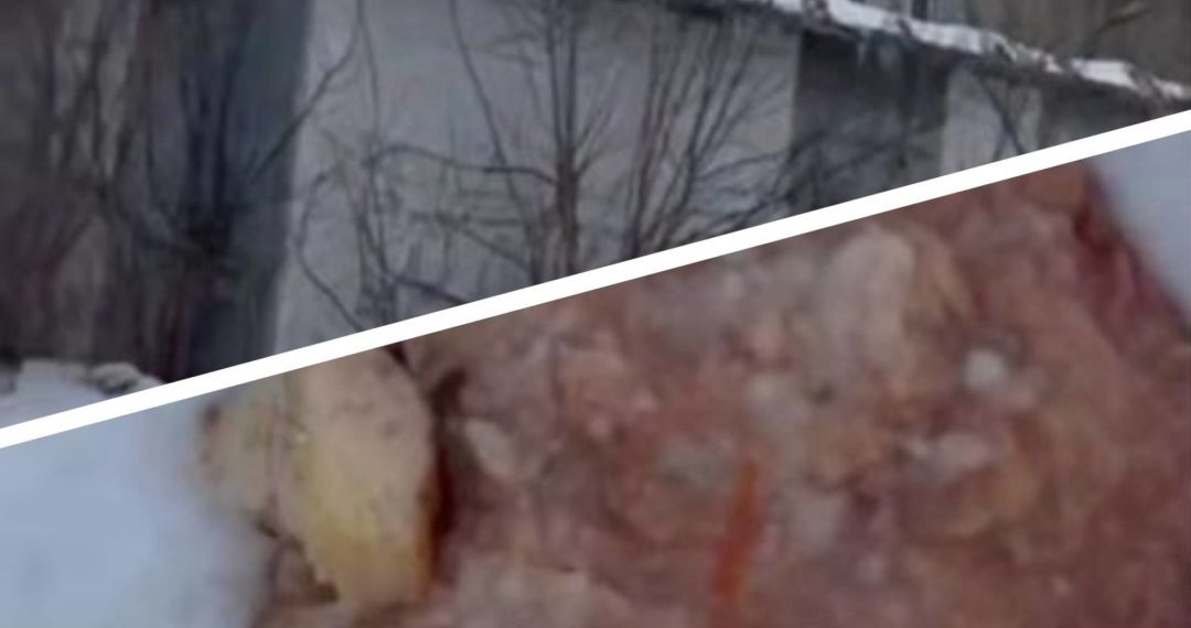 Подкорм бездомных собак у детсада возмутил жителей Новосибирска