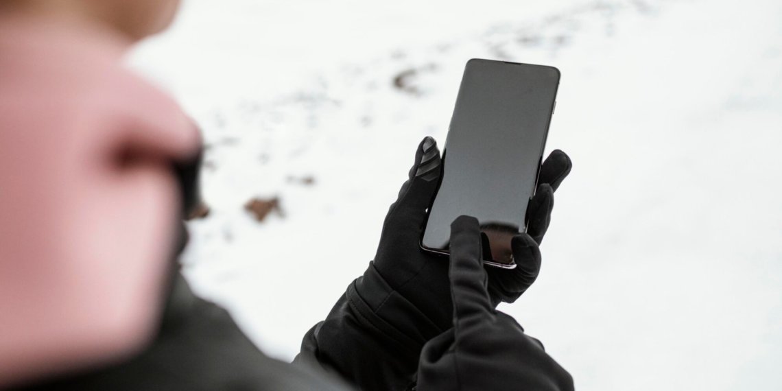 Братья-мошенники из Новосибирской области получили срок