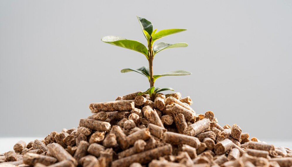 Новосибирского председателя кооператива оштрафовали за экологические нарушения при утилизации отходов