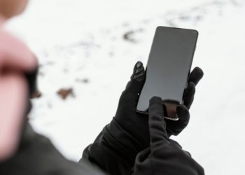 В России выросло количество мошеннических интернет-операций за 2024 год