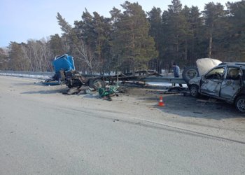 Страшное ДТП в Новосибирской области: «Skania» вылетела на встречку, есть погибший