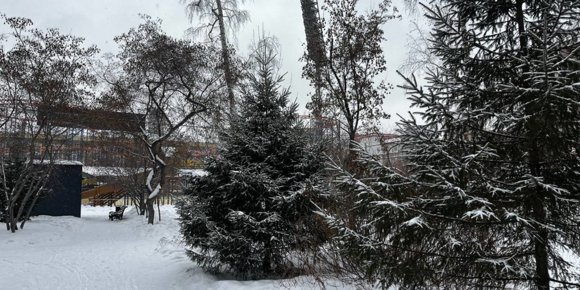 Снежная погода и морозы ожидаются в Новосибирске