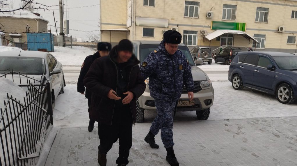 Пристав нашел в стоге сена новосибирца, скрывавшегося от суда