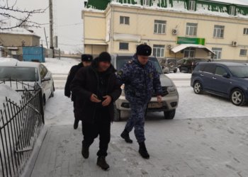 Пристав нашел в стоге сена новосибирца, скрывавшегося от суда