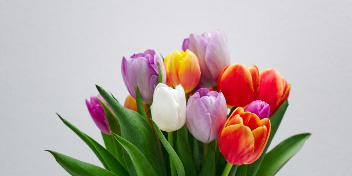 Самые популярные схемы мошенничества на 8 марта назвали власти