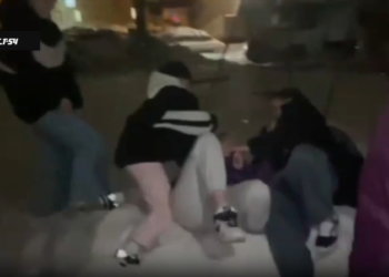 Отрезали волосы: группа подростков издевалась над сверстницей во дворах Новосибирска — видео