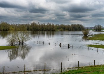 Талыми водами затопило 18 дачных участков и дом в Новосибирской области