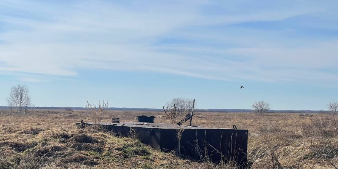 Семь бесхозных скотомогильников обнаружили под Новосибирском