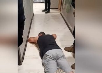 Мертвые души: 14 новосибирцев задержали за мошенничество с маткапиталом