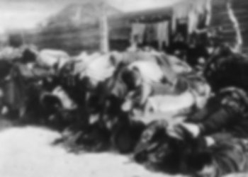 «Зараженных закапывали живьем»: как Новониколаевск накрыла страшная эпидемия тифа зимой 1919-1920-х годов