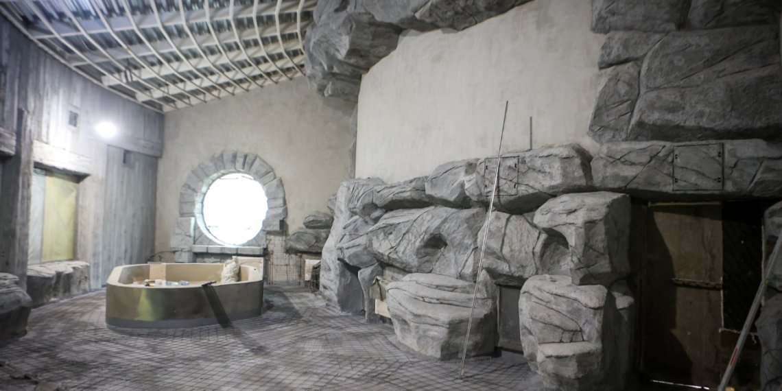 Новые павильоны с экзотическими животными появятся в Новосибирском зоопарке