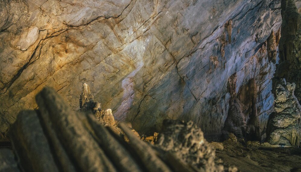 Новосибирский краеведческий музей запускает тур по археологическим раскопкам в Ордынском районе