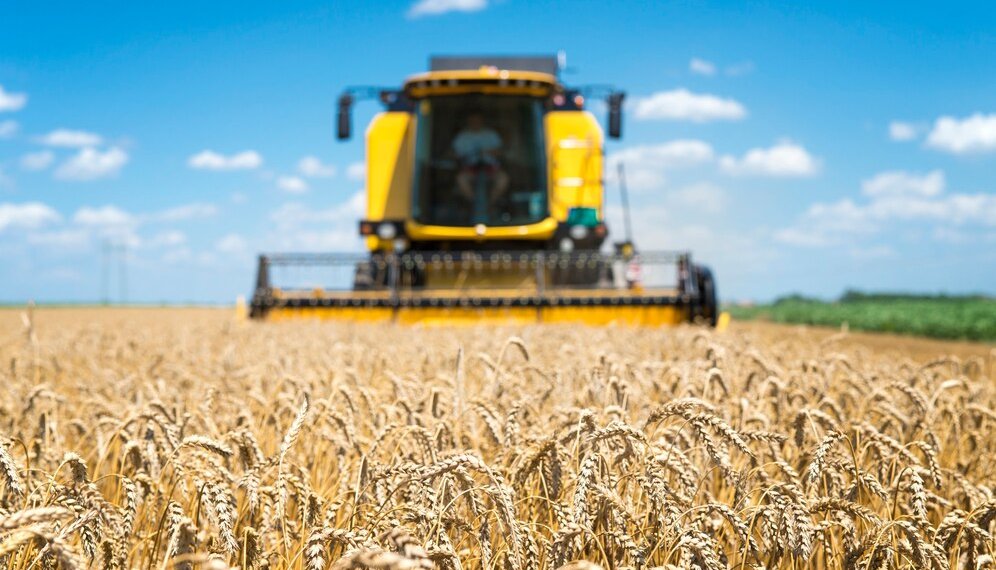 Новосибирская область вошла в топ-5 регионов программы поддержки АПК