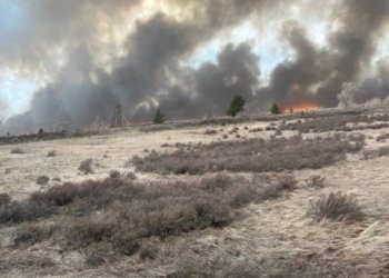 Сибирь накрыл штормовой ветер — в регионах происходят отключения света и пожары 