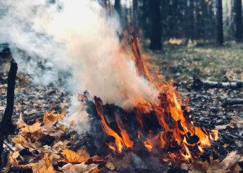 Ситуация с пожарами в Новосибирской области на утро 14 апреля