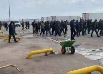 Почти 80 мигрантам запретили въезд в Новосибирскую область