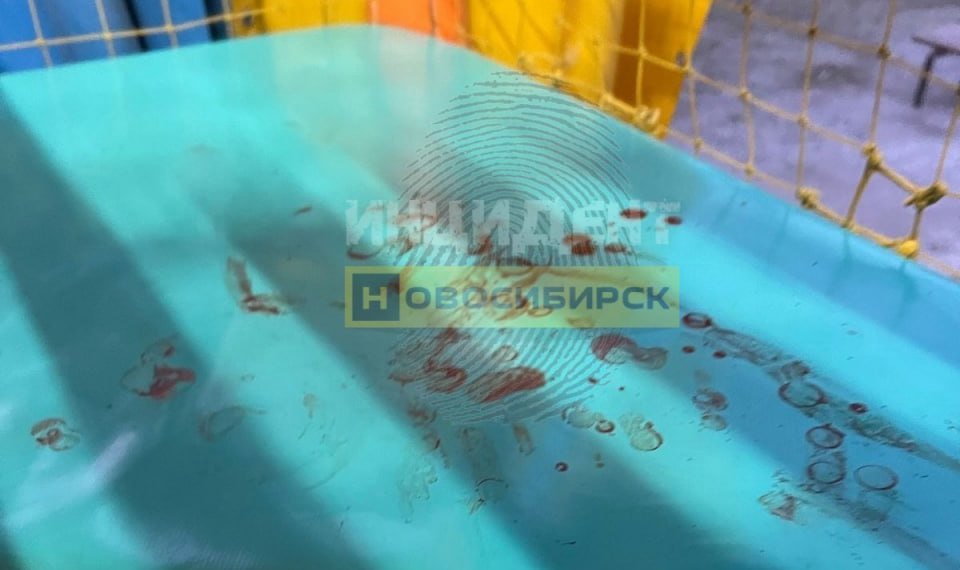 Дошкольник разбил голову в новосибирском развлекательном центре — делом заинтересовался Бастрыкин