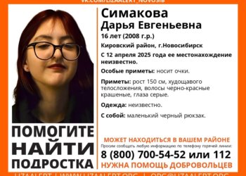 Девочка с черно-красными волосами потерялась в Кировском районе