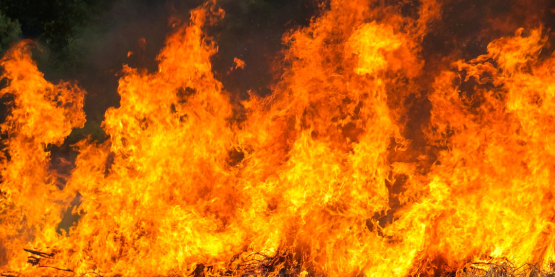 О пожароопасности 4 степени предупредили в Новосибирске