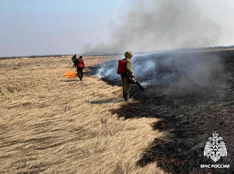 Более 250 термоточек в Новосибирской области зафиксировали в МЧС