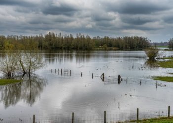 В пяти районах Новосибирской области дачные участки оказались под водой