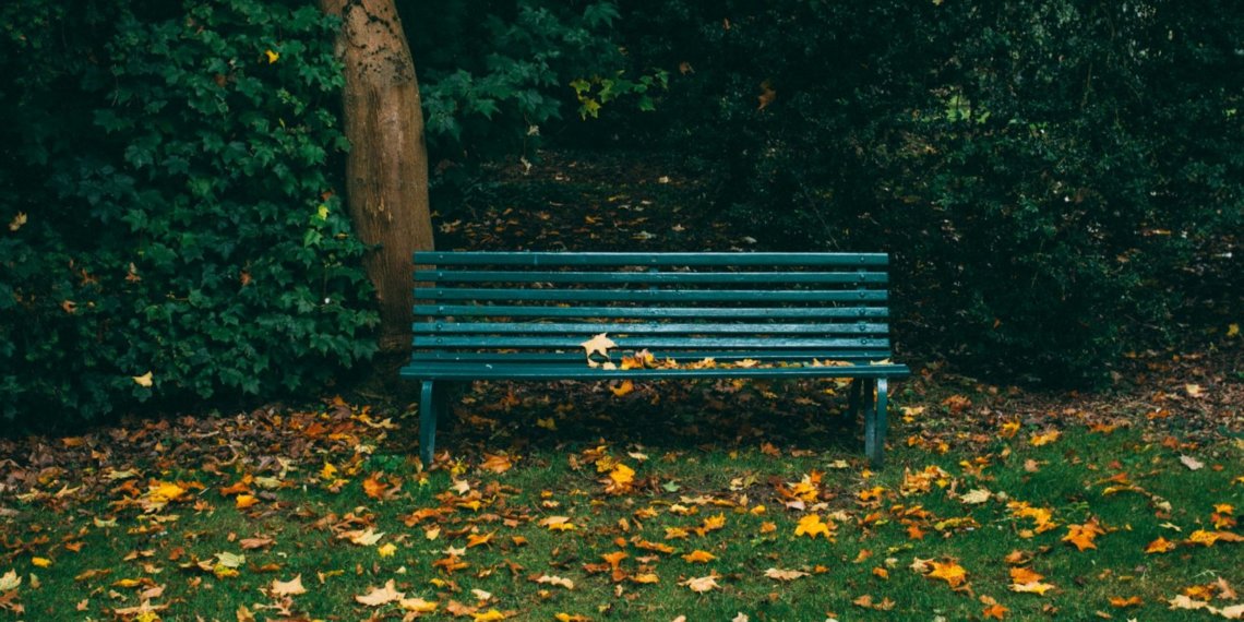 Одну из восьми зон для благоустройства предложили выбрать новосибирцам