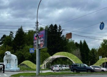 Новосибирский Дендропарк закроют на день из-за клещей