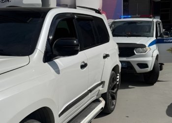 Водителя Lexus остановили за тонировку — номера авто были поддельными в Новосибирске