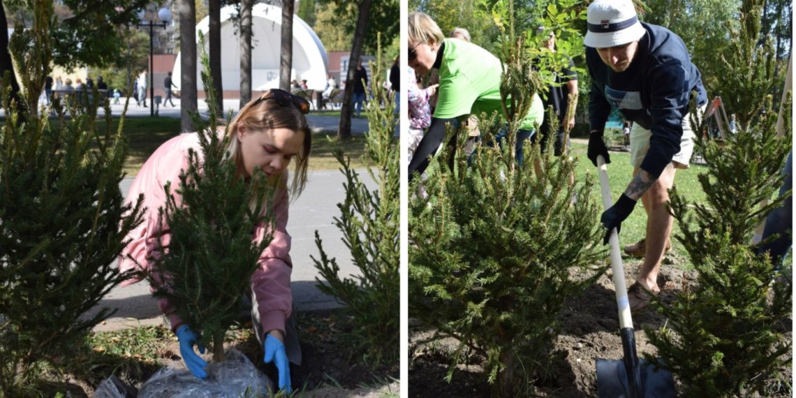 Максим Кудрявцев: «Работы по озеленению города нужно проводить совместно с жителями»
