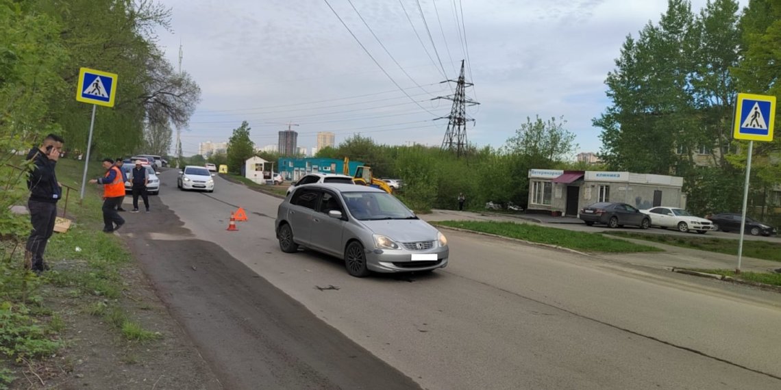 Водитель сбил мать с сыном на пешеходном переходе в Новосибирске
