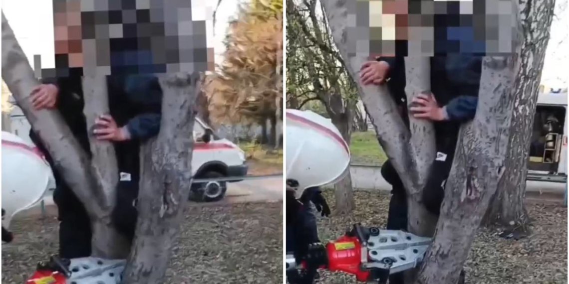 Новосибирские спасатели помогли освободить застрявшего в дереве ребенка
