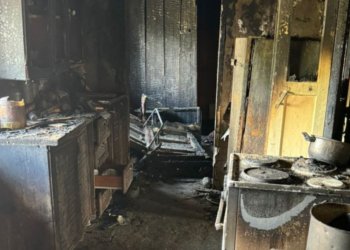 Новосибирца отправили в СИЗО за попытку сжечь заживо бабушку и её внучку