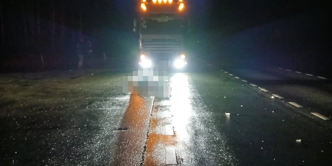 Под Новосибирском водитель грузовика насмерть сбил пешехода