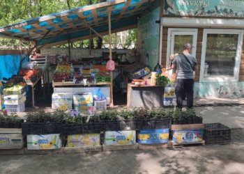 750 килограмм фруктов и овощей забрали у нелегального торговца в Новосибирске