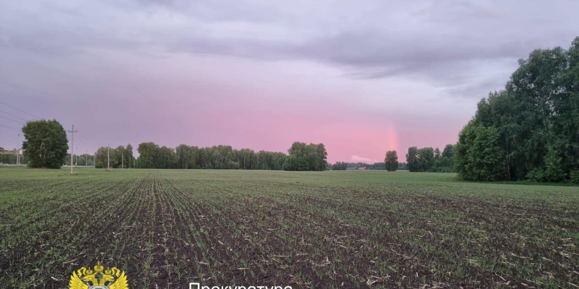 Новосибирца задержали за расправу над подростком в лесу