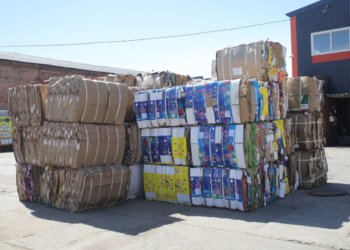 Более 20 тонн макулатуры отправил новосибирский регоператор на переработку в 2025 году