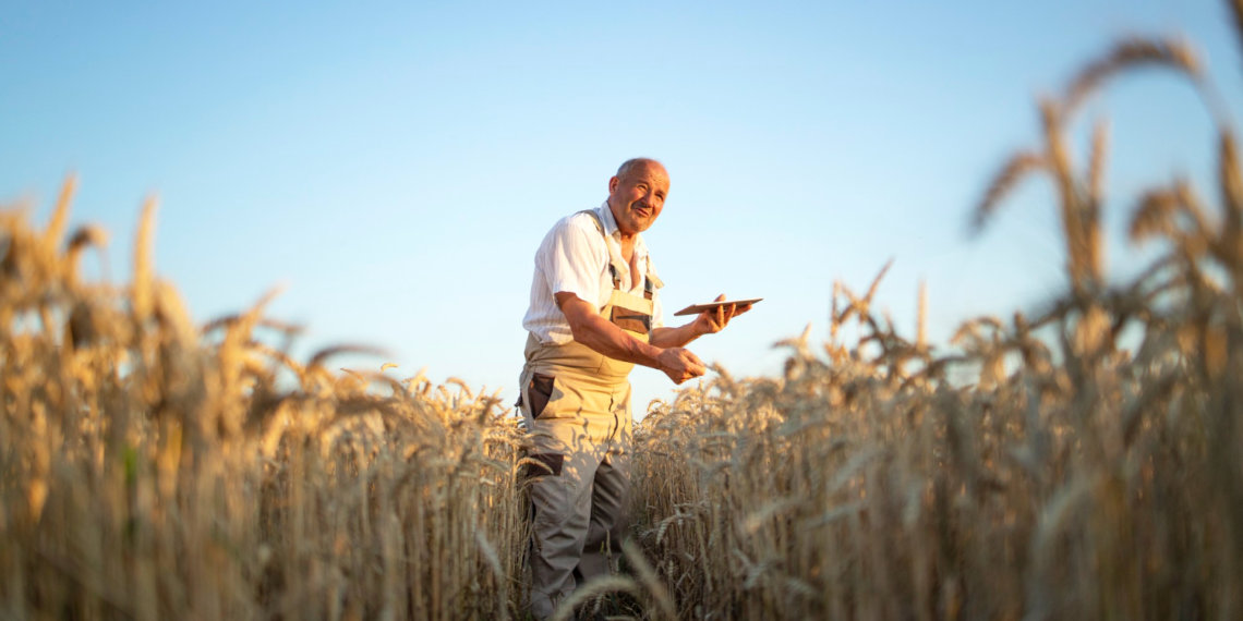 Сбер: объем льготного кредитования сибирских фермеров вырос на 40% в 2025 году