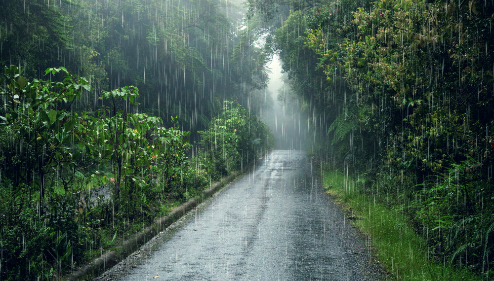 Дожди и грозы ожидают Новосибирскую область в начале недели