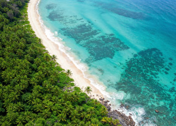 Новосибирских туристов предостерегли об опасной лихорадке на Шри-Ланке