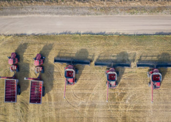 Серию афер с хищением более 1100 гектаров земель раскрыли в Новосибирской области
