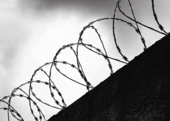 Заключенного новосибирца оштрафовали за тату с символикой АУЕ*