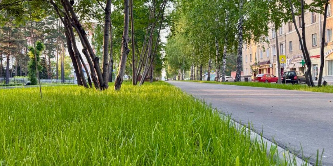 Мэр Новосибирска показал, как выглядит улица Эйхе спустя год после восстановления газонов