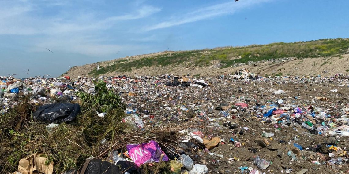 Расчленил и бросил тело в мусор: новосибирца обвиняют в убийстве 69-летней