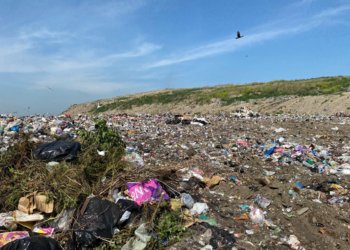 Расчленил и бросил тело в мусор: новосибирца обвиняют в убийстве 69-летней