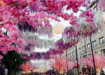 Улица Ленина станет пешеходной на День города Новосибирска