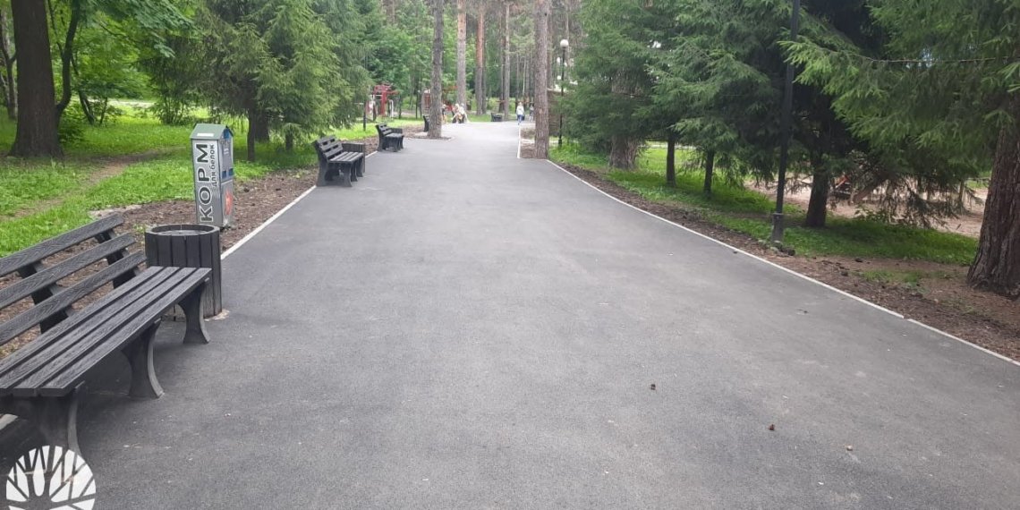 Власти отремонтировали дорожки в Сосновом бору Новосибирска