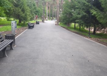 Власти отремонтировали дорожки в Сосновом бору Новосибирска