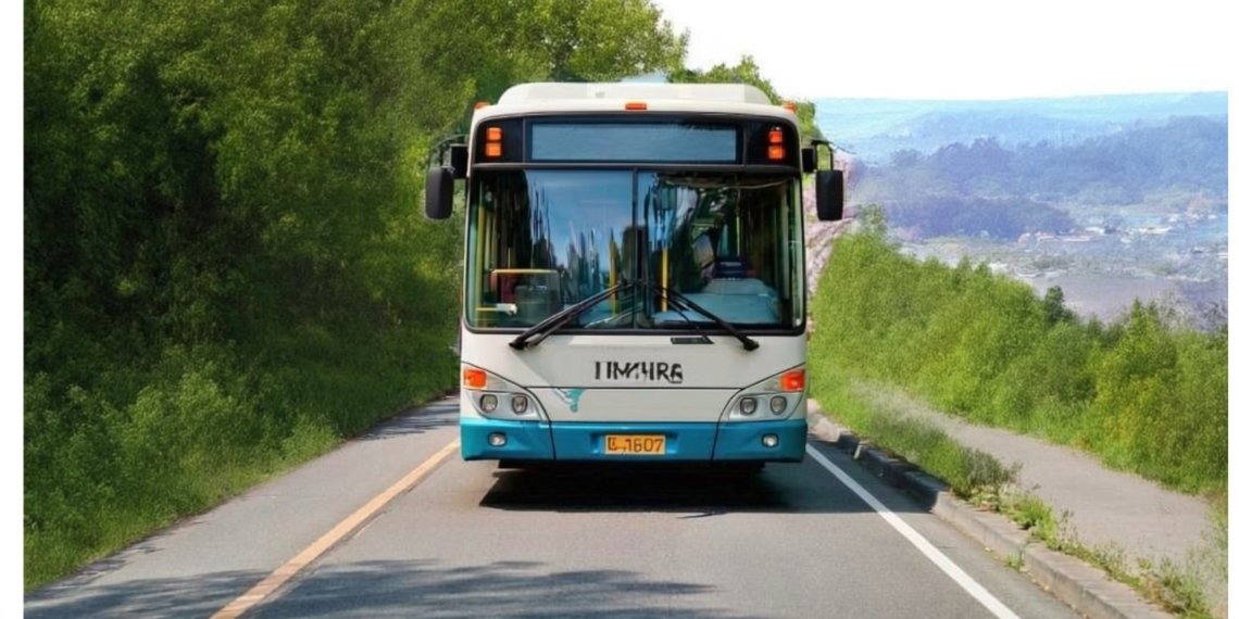 С 9 июня между Обью и Толмачёво запустят удобный автобус