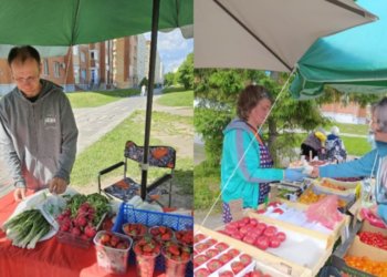 Более 200 кг фруктов и овощей изъяли у нелегальных торговцев в Новосибирске