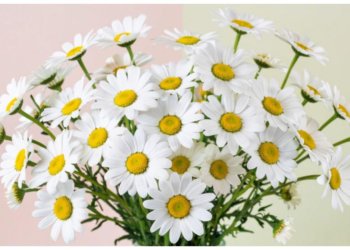 Отправится в тюрьму из-за оберега: мужчину осудили за провоз запрещёнки через границу